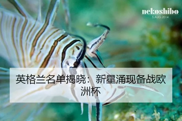 ying-ge-lan-ming-dan-jie-xiao-xin-xing-yong-xian-bei-zhan-ou-zhou-bei-2-102.jpg